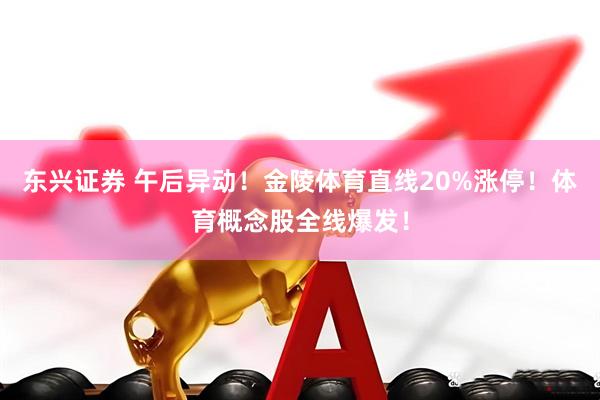 东兴证券 午后异动！金陵体育直线20%涨停！体育概念股全线爆发！