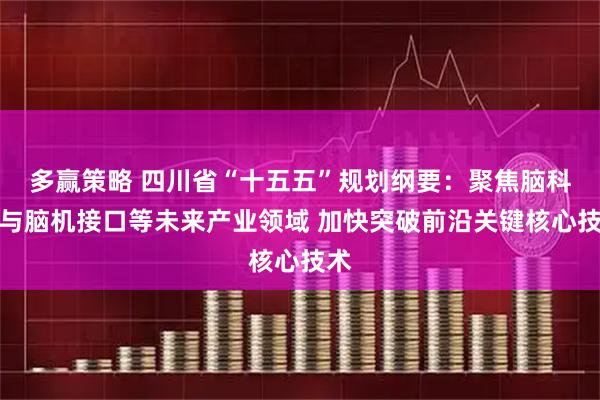 多赢策略 四川省“十五五”规划纲要：聚焦脑科学与脑机接口等未来产业领域 加快突破前沿关键核心技术