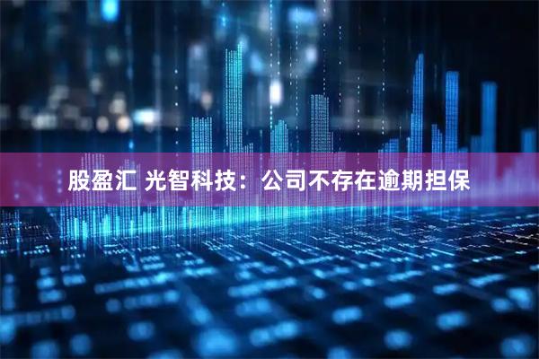 股盈汇 光智科技：公司不存在逾期担保