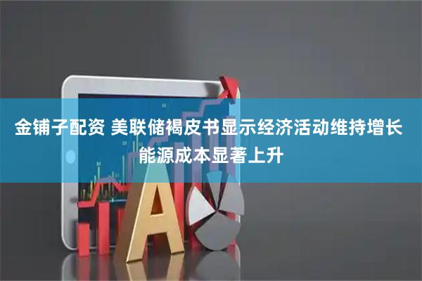 金铺子配资 美联储褐皮书显示经济活动维持增长 能源成本显著上升